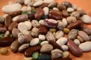Beans are a great source of healthy protein and fiber. (For Spectrum Health Beat)