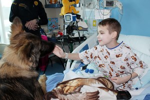 Rex, one of three resident security police K-9s, meets Ben Lillie in the 10-year-old's room at Spectrum Health Helen DeVos Children's Hospital.