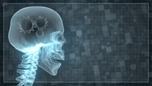An illustration of a skeleton skull is shown. A few gear-like images appear inside the brain.