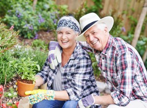 Two elderly adults garden together.