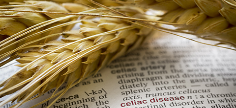 Explore the truth and fiction behind celiac disease information. (For Spectrum Health Beat)