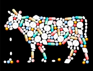 Livestock Antibiotics