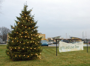 A Christmas tree appears next to a "Lights and Love Tree" sign.