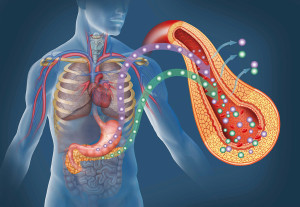An illustration is shown of an artificial pancreas.