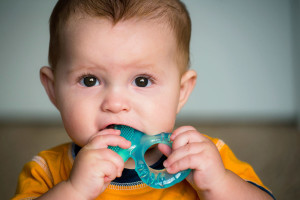 A baby holds a blue teether and puts it into their mouth.