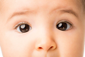 A baby's brown eyes are in focus.