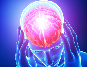 An illustration is shown of a person's brain.