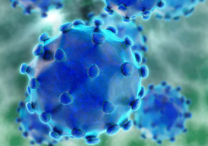 An illustration of the hepatitis C virus is shown.