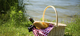 Pack your picnic baskets with care to avoid an unpleasant surprise. (For Spectrum Health Beat)