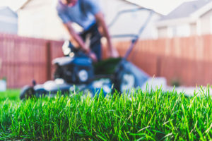 A teenager pushes a lawn mower to cut the grass.