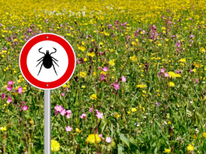 A sign with an image of a tick is shown in front of a field of flowers.