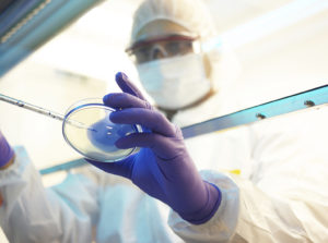 A researcher holds a petri dish in his gloved hand.
