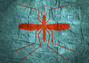 A mosquito silhouette is shown on a concrete textured surface.