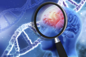Gene therapy could hold the key to stopping Alzheimer's in its early stages.