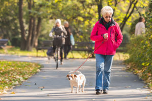 An elderly woman walks her dog outside.