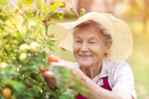 An elderly woman picks out a few plants in her garden.
