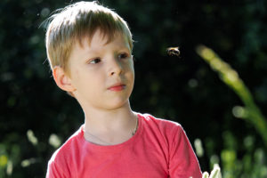 A young boy stands outside and stares at a bumblebee. He appears concerned as the bee flies toward him.
