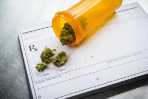 A prescription slip is in focus. A pill bottle that contains marijuana in it is placed on top of the slip.