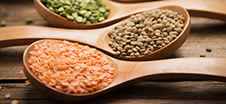 Lentils are plant-based foods rich in fiber, protein, minerals and other nutrients with virtually no fat. (For Spectrum Health Beat)