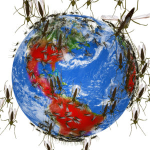 A globe is in focus with insects surrounding it. The insects represent how the Zika virus is expanding across the globe.