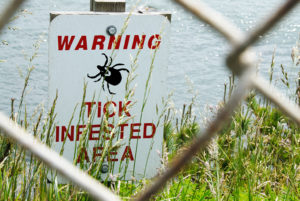 A sign reads, "WARNING. TICK INFESTED AREA."