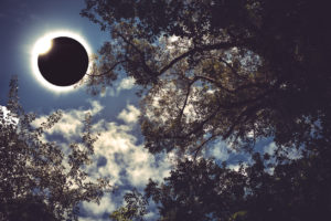 A solar eclipse is an amazing natural phenomenon. Here, a total solar eclipse glows on blue sky above a silhouette of trees. (For Spectrum Health Beat)
