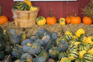 A variety of pumpkins are shown.