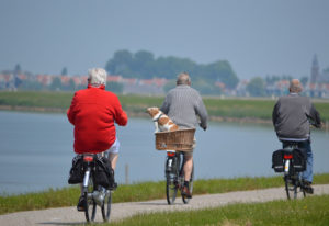 Three elderly men ride bikes outside near a lake.
