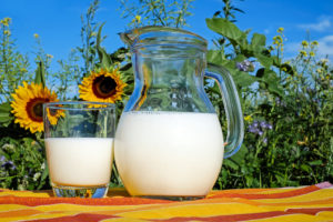 A pitcher of milk sits on a towel with a glass of milk. Sunflowers are in the background. 