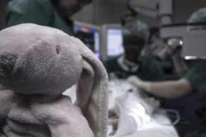 A stuffed animal rabbit is in focus. Behind the stuffed animal, a medical operation is occuring.