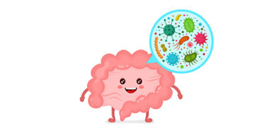 Keep your gut's mix of bacteria healthy, and chronic illnesses might be kept at bay. (For Spectrum Health Beat)
