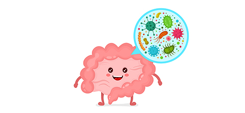 Keep your gut's mix of bacteria healthy, and chronic illnesses might be kept at bay. (For Spectrum Health Beat)