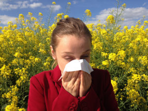 A person sneezes into a tissue outside near yellow flowers.