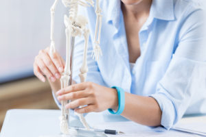 A skeleton model is shown with a woman looking at the model.
