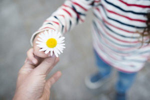 A young girl holds a daisy in her hand after a person gives it to her.