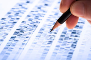 A person looks at a genetic test.