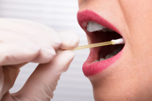 A medical professional places a cotton swab into a patient's mouth for a saliva sample.