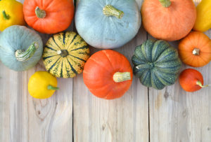 A wide variety of fall squash are shown.