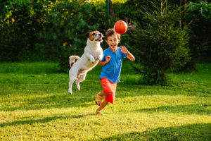 A young boy and dog play with a ball outside.