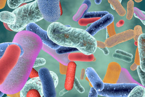 An illustration of probiotics is shown.