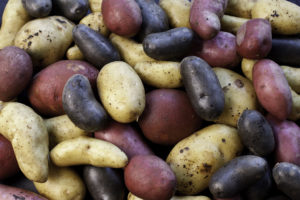 A variety of potatoes are shown.